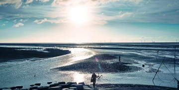 a person walking on a beach