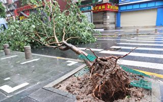 颱風杜蘇芮夾狂風暴雨登陸福建 民：好嚇人