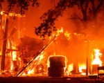 加州7月已發生175場野火 過火面積達59萬英畝