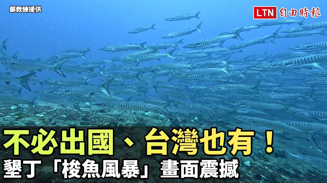 不必出國、台灣也有！墾丁「梭魚風暴」畫面震撼（鄭教練提供）