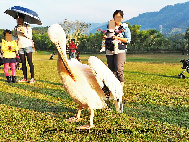 綠世界 百年古厝餐廳 新竹 北埔 親子景點 32