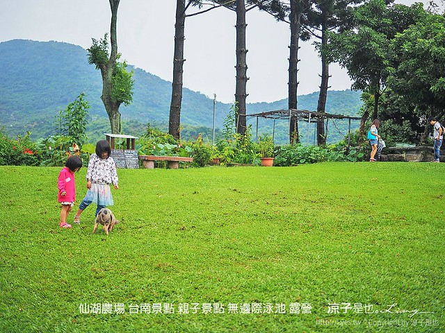 69 露營 台南景點 仙湖農場 無邊際泳池 親子景點