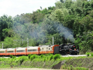 搭火車漫遊花東縱谷！仲夏寶島號7/13啟程 