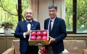 台日農業合作再加溫！紅肉紅龍果本周出口日本 促雙邊貿易新突破