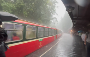 (影)直擊阿里山暴雨挾1公分冰雹狂砸！旅客驚呼連連