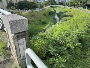 北市府河濱公園修繕費竟挪去舉辦水舞！王欣儀：拿市民安全開玩笑