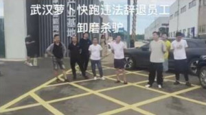 (影) 殺驢卸磨! 百度「蘿蔔快跑」上路大裁員 自動駕駛攻佔武漢 司機集體失業