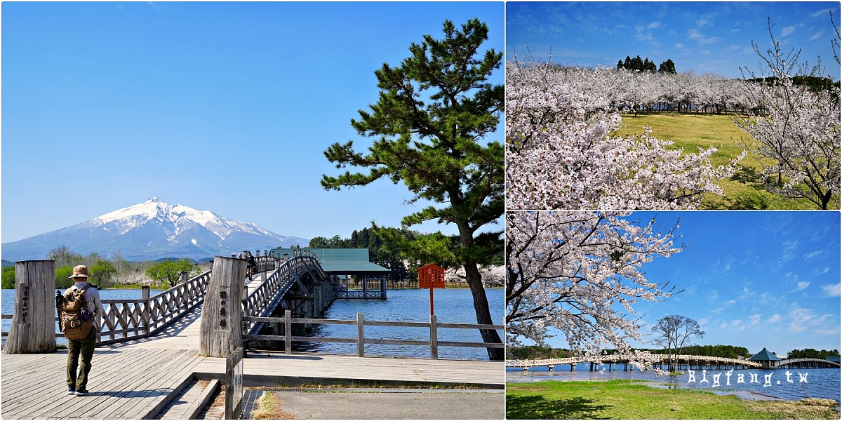 青森縣北津輕郡 鶴の舞橋 津輕富士見湖 櫻花 岩木山