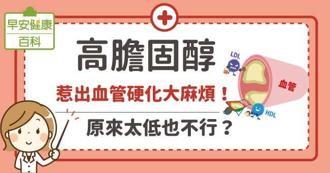 膽固醇過高原因、正常值多少？用飲食改善高低密度膽固醇回復標準