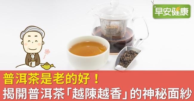 普洱茶是老的好！揭開普洱茶「越陳越香」的神秘面紗