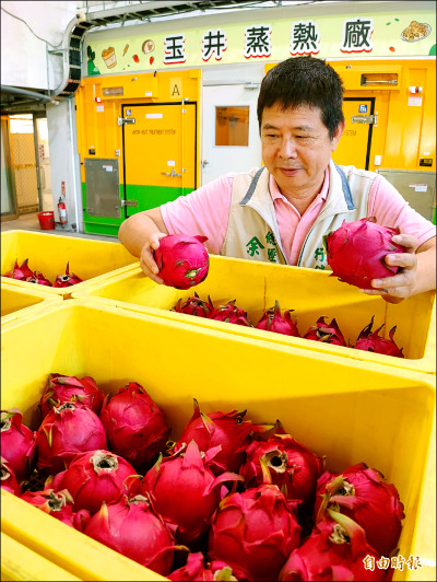 《台南》紅龍果前進日本 首批400公斤將啟運