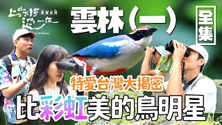 想到雲林就是劍湖山樂園！但你知道它同時也是生態園區嗎～比彩虹美的八色鳥 全球不到兩千隻卻能在台灣看到！20240606 EP154上山下海過一夜｜艾美 楊盛堯MAX 熱血阿傑 蕭志瑋八弟