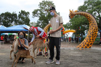 打造台版奈良 台東鹿野梅花鹿公園開幕