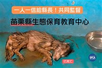 苗栗動物收容所遭疑逾百不明死亡  動防所澄清