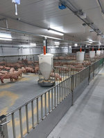 台糖虎尾循環畜殖場啟用 化豬糞為綠金助淨零碳排