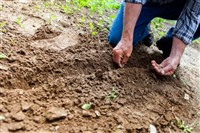 農業部盼植物診療師法案本會期三讀 估10年3000名開業