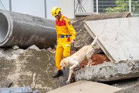 竹市搜救犬訓練場啟用  「毛英雄」獲授階秀本領