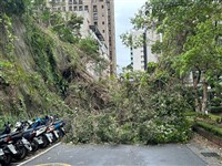 北市下午颳大風降暴雨 2.5小時接25起災害通報