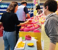 首爾國際食品展登場  南市府設館行銷、芒果吸睛