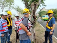 防樹木傾倒釀事故  嘉市建立資訊巡查系統管理