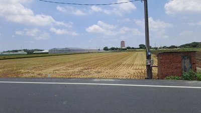 雲林稻田遭割稻仔尾 農民求助議員尋稻穀