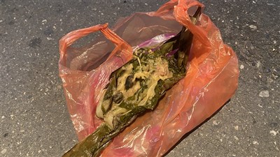 台東小米粽疑食物中毒案首批檢體送驗 台大醫院拚1週內出爐