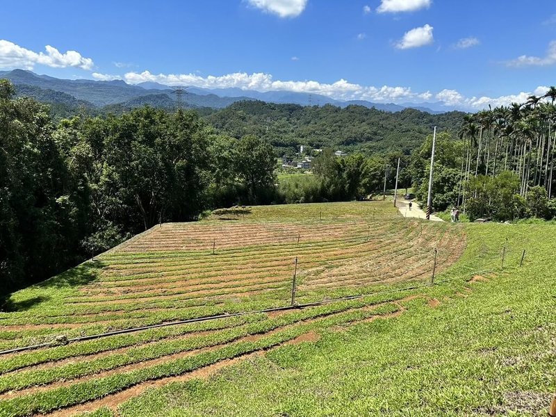 新竹縣關西鎮湖肚段部分山頭遭不當開發，縣府4日前往稽查後表示，除會依違反水土保持法開罰外，也要求地主2個月內改正，同時勒令2年內禁止提出開發申請。（新竹縣政府提供）中央社記者郭宣彣傳真  113年7月4日