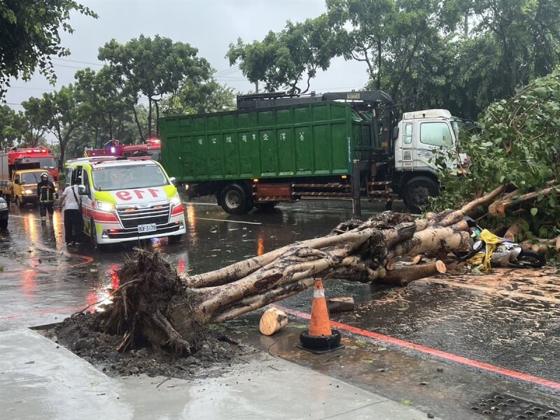 一名婦人24日中午騎車行經高雄鳳山區建國路一段時，遭倒塌路樹壓傷送醫。（高市消防局提供）中央社記者洪學廣傳真 113年7月24日