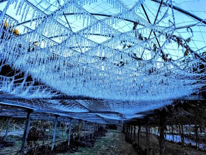 武陵農場低溫現水晶簾冰柱  遊客直呼太美了
