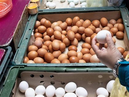 食糧行負責人遭控強賣雞蛋  法院裁定不罰