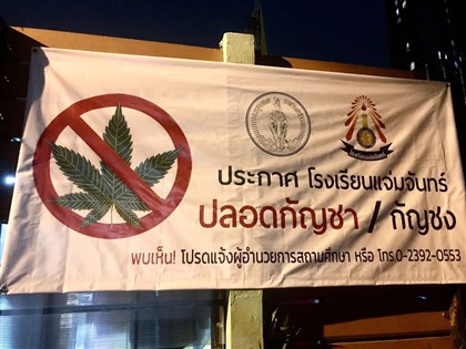 特派專欄 泰國大麻合法化缺法令配套 狀況混亂醫界憂心