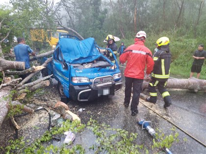 颱風海葵吹倒花蓮卓溪路樹 小貨車遭砸2人受傷送醫