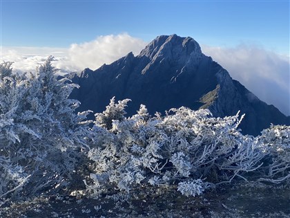 寒流發威清晨桃園下��6.7度  玉山出現霧淞