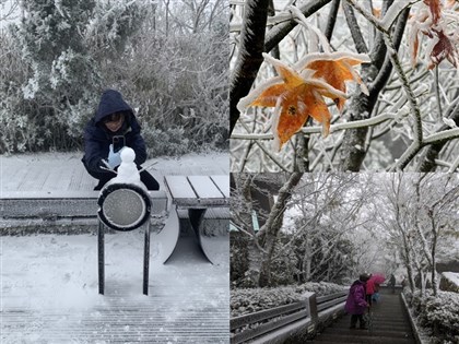 冬至太平山雪山下雪了 銀白世界美景一次看【圖���】