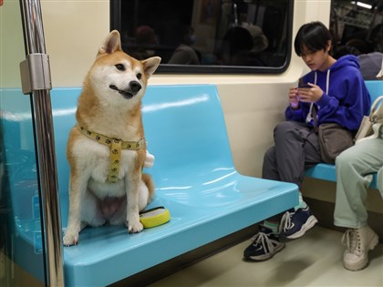 北捷一日限定寵物列車 林奕華搭乘喊捨不得下車