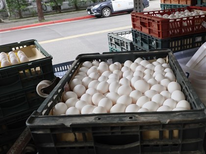 雞蛋產地價崩盤蛋農叫苦 農業部：與飼料廠溝通降價