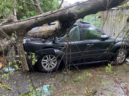 颱風凱米襲台 桃園龜山區樹倒壓車