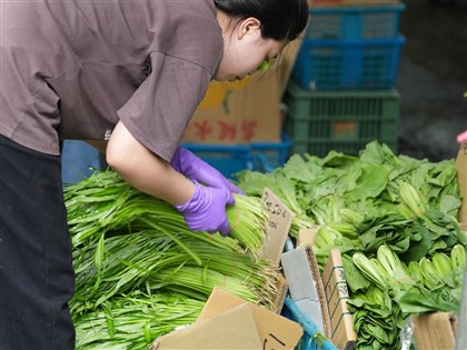颱風水淹蔬菜主產區 批發菜價連漲2天復耕需1個月