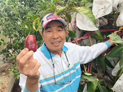 特派現場／廖大盛在美國種出台灣水果：��務鄉親最快樂