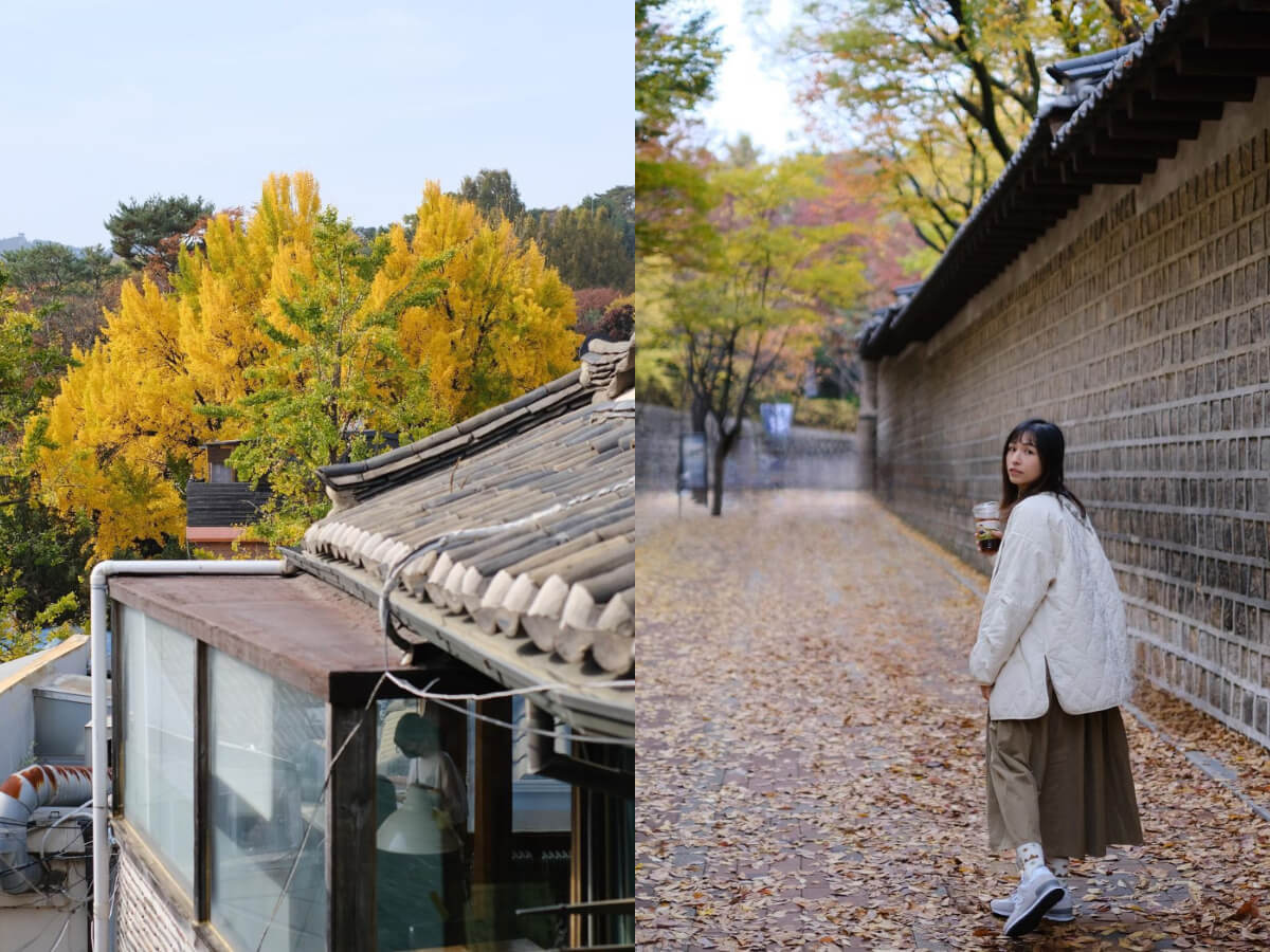韓國景點｜韓國五大必去宮殿，讓你穿著韓服一探古宮的浪漫！