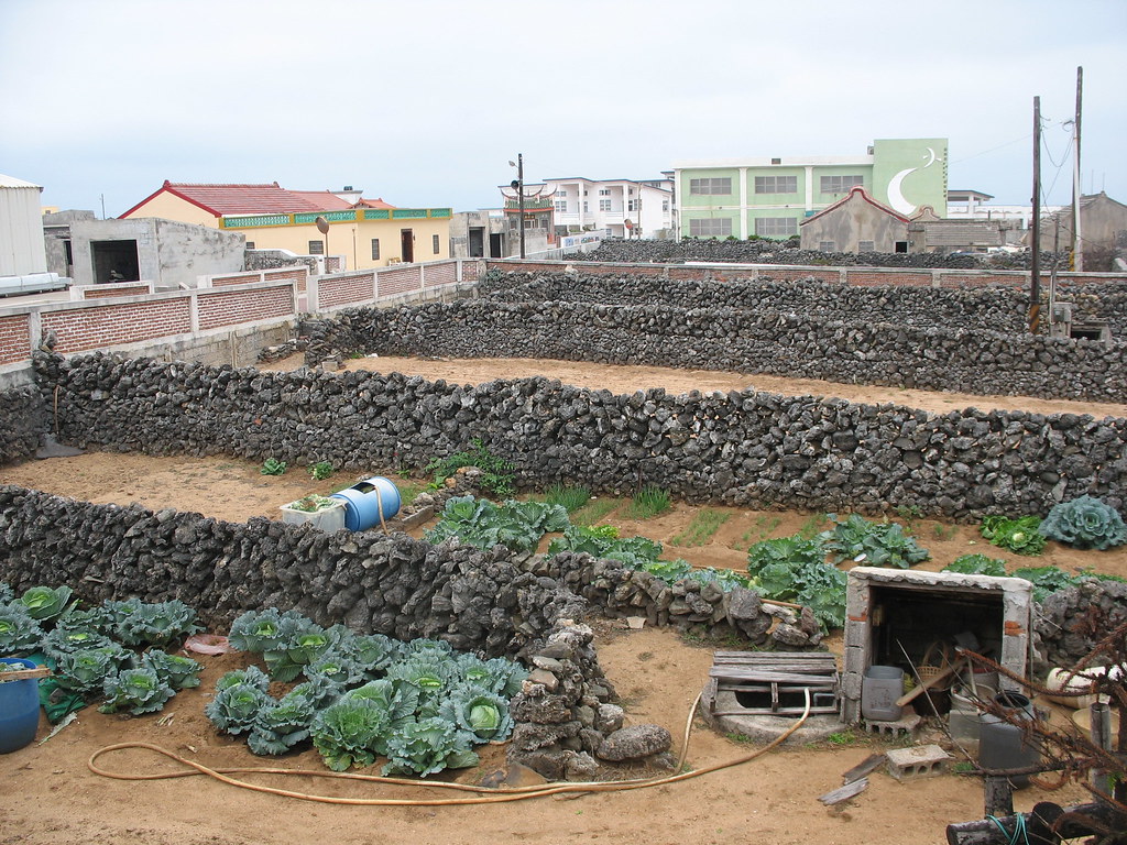 澎湖農業稀少，只剩村落周遭的菜宅。圖為中屯的咾咕石菜宅。本報資料照。