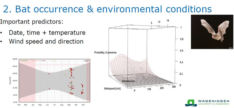 荷蘭Wozep的蝙蝠遷徙與環境狀態資料分析。發現蝙蝠遷徙集中於特定季節與風速風向條件。資料來源：瓦赫寧恩大學暨研究中心（Wageningen University & Research）
