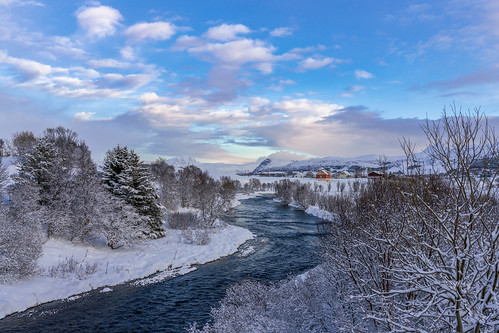 Lofoten River