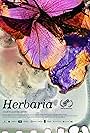 Herbaria (2022)