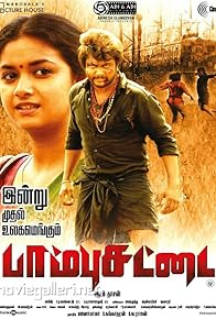 Primary photo for Paambhu Sattai