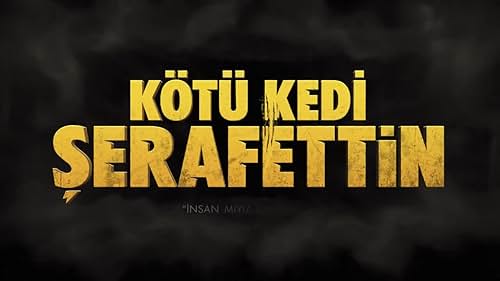 Kötü Kedi Serafettin Filmi TEASER