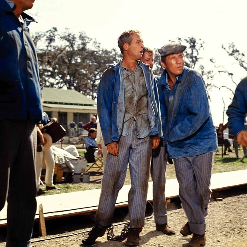 Paul Newman, Lou Antonio, and James Gammon in Cool Hand Luke (1967)