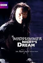 A Midsummer Night's Dream (1981)