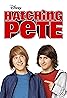 Hatching Pete (TV Movie 2009) Poster