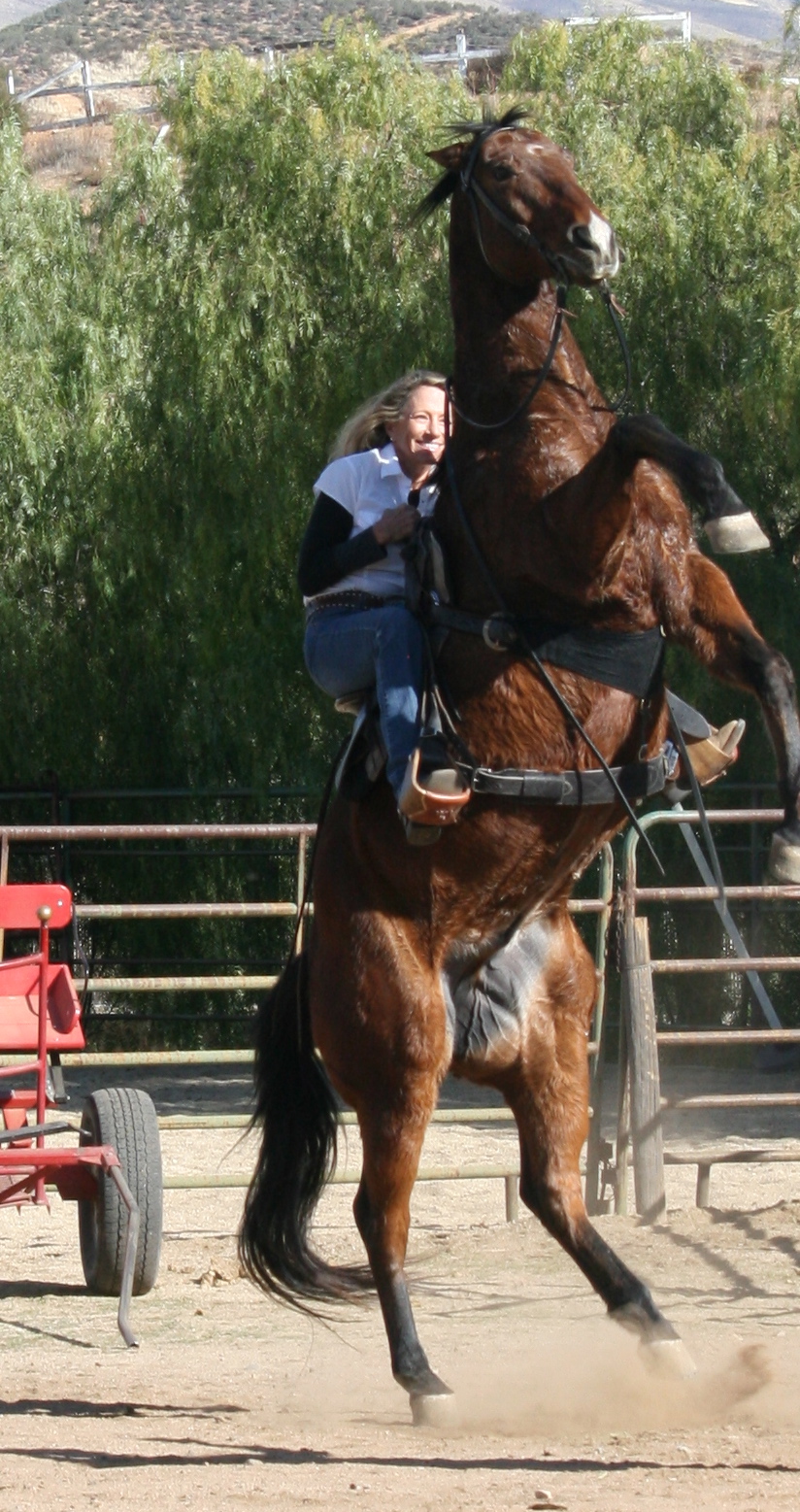 Lisa on "Biscuit" movie horse.